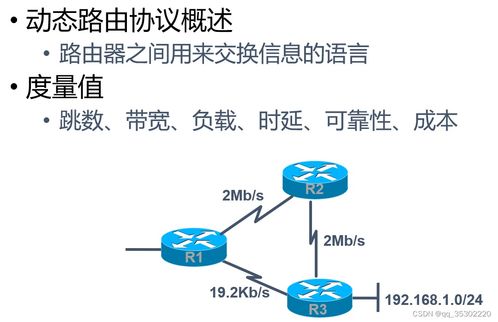 網(wǎng)絡(luò)信息安全核心技術(shù)解析 ACL、NAT、動(dòng)態(tài)RIP與安全軟件開(kāi)發(fā)
